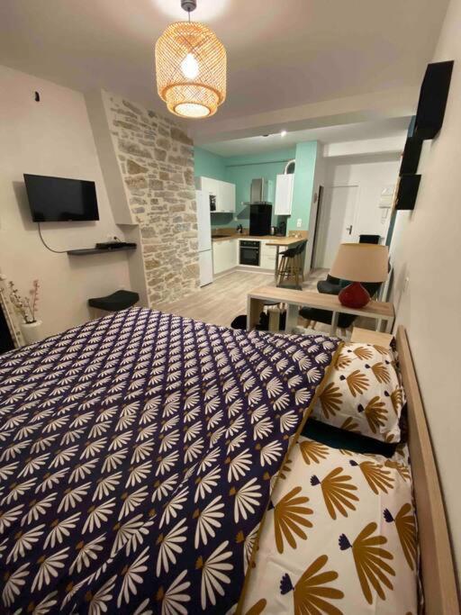 Charmant Studio Idealement Place Et Paisible ! Oloron-Sainte-Marie Bagian luar foto